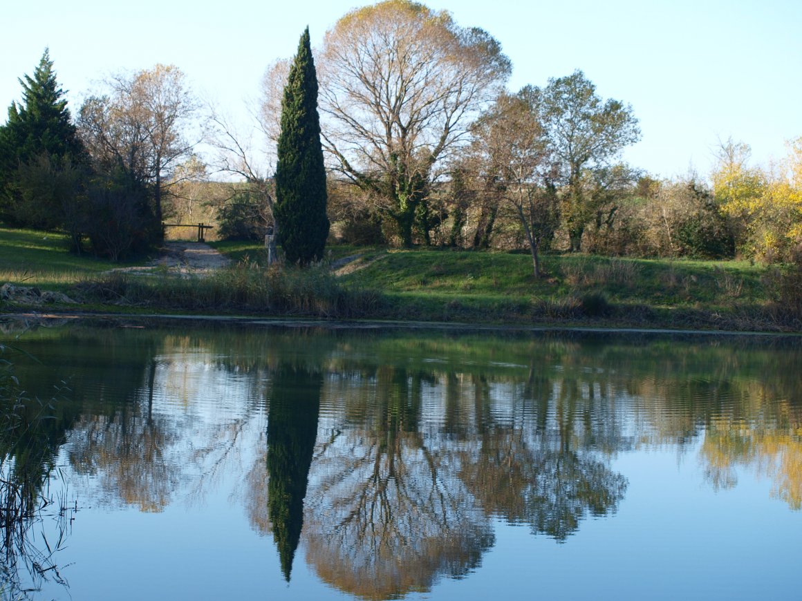 Association La Mouette