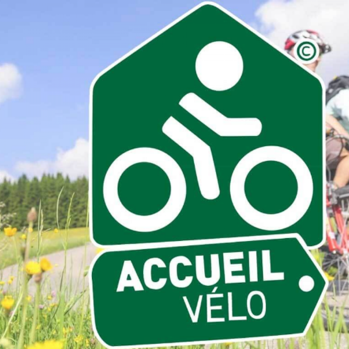 Boucles et circuits à vélo